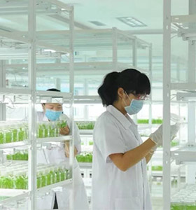 草莓免费视频仪器