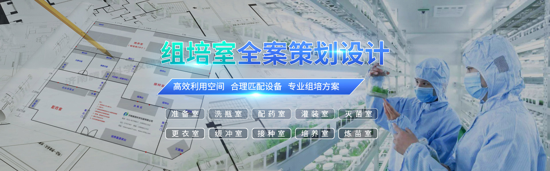 草莓免费视频、草莓免费视频架