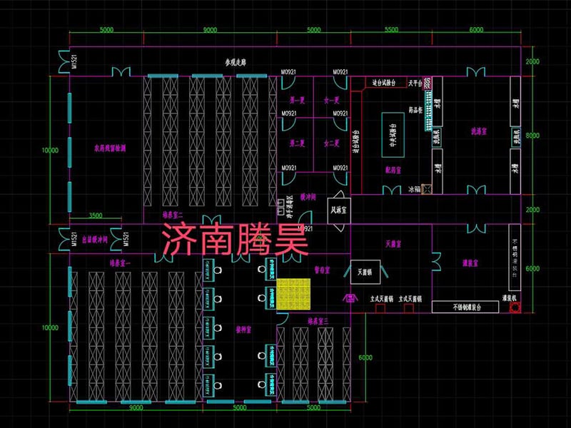 草莓免费视频  草莓免费视频室