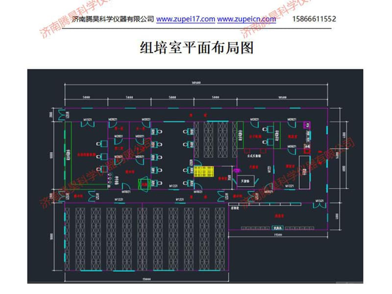 草莓免费视频室