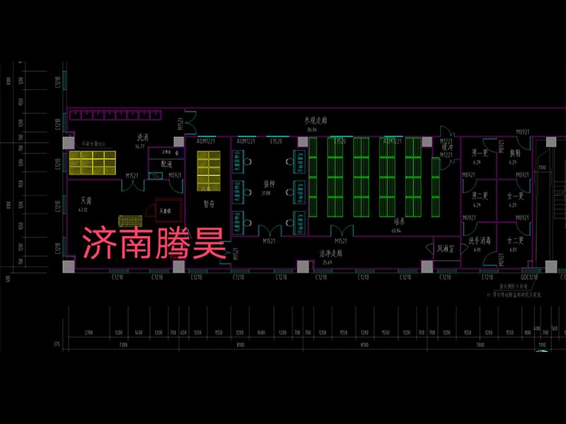 草莓免费视频  草莓免费视频室