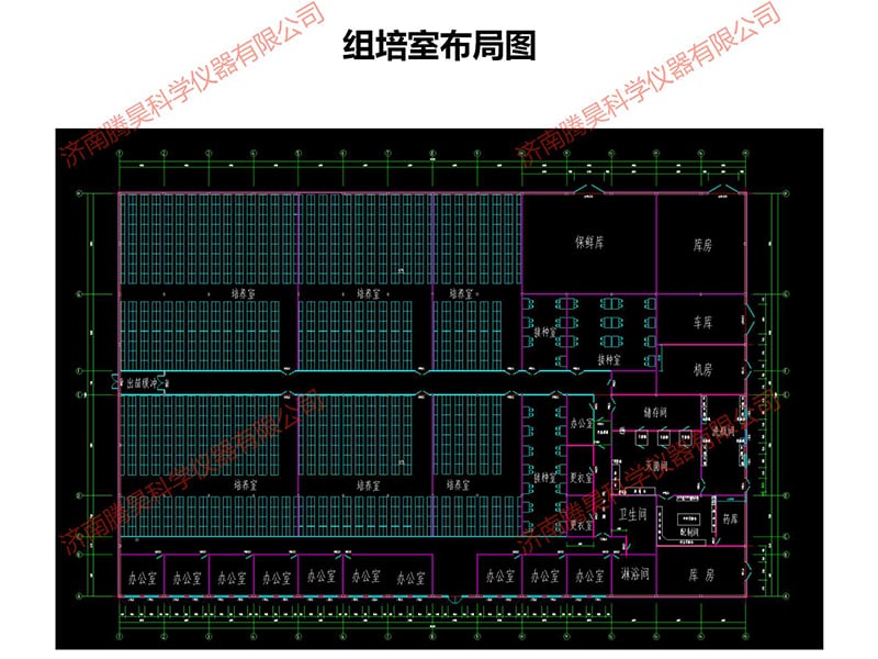 草莓免费视频室
