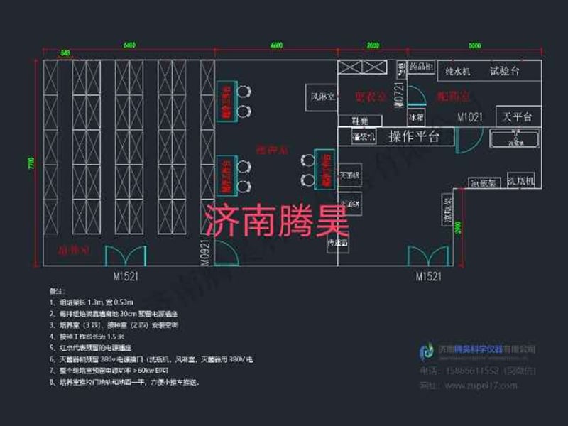 草莓免费视频  草莓免费视频室
