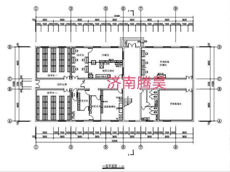 草莓免费视频  草莓免费视频室