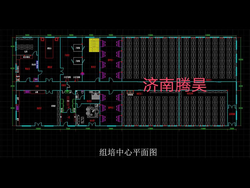 草莓免费视频  草莓免费视频室
