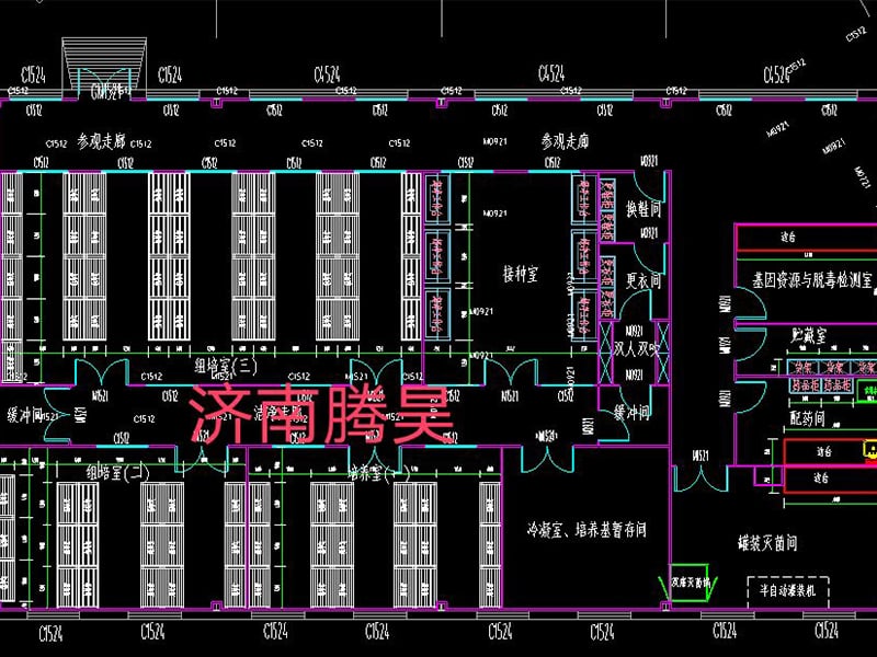 草莓免费视频  草莓免费视频室