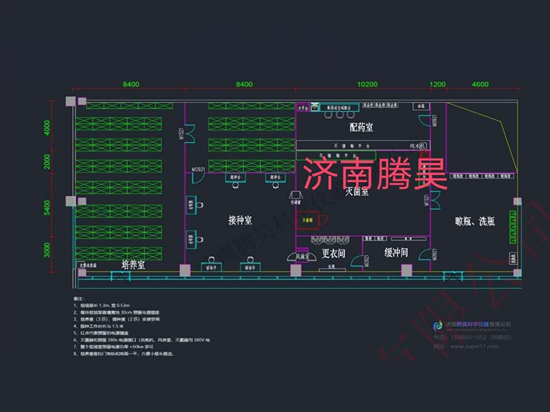 草莓免费视频  草莓免费视频室