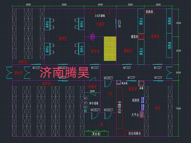 草莓免费视频  草莓免费视频室