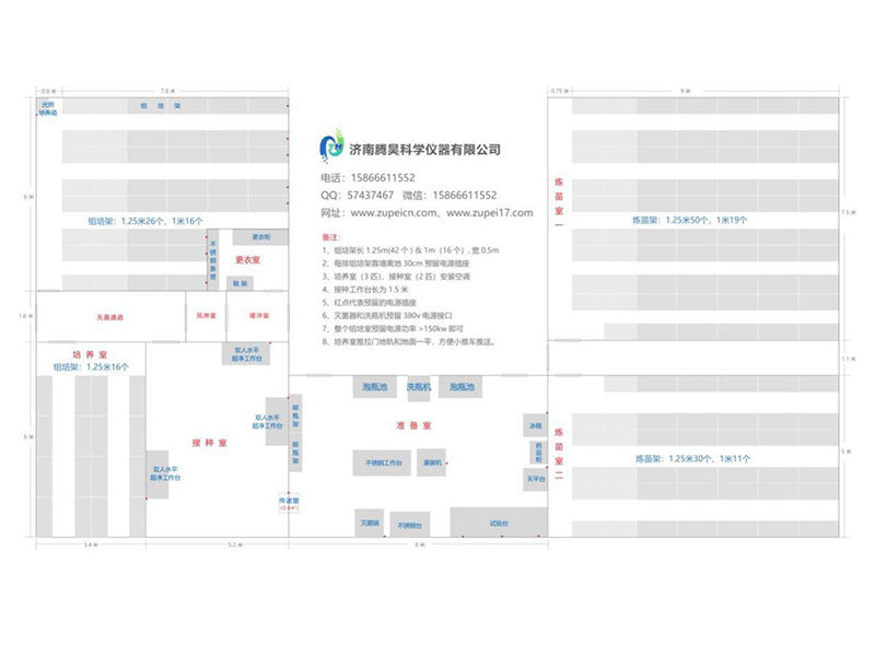草莓免费视频  草莓免费视频室
