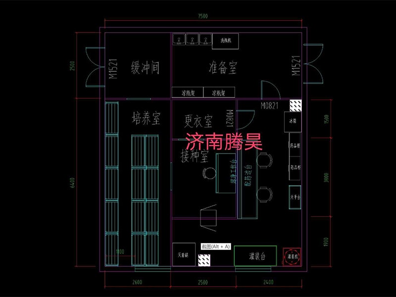 草莓免费视频  草莓免费视频室
