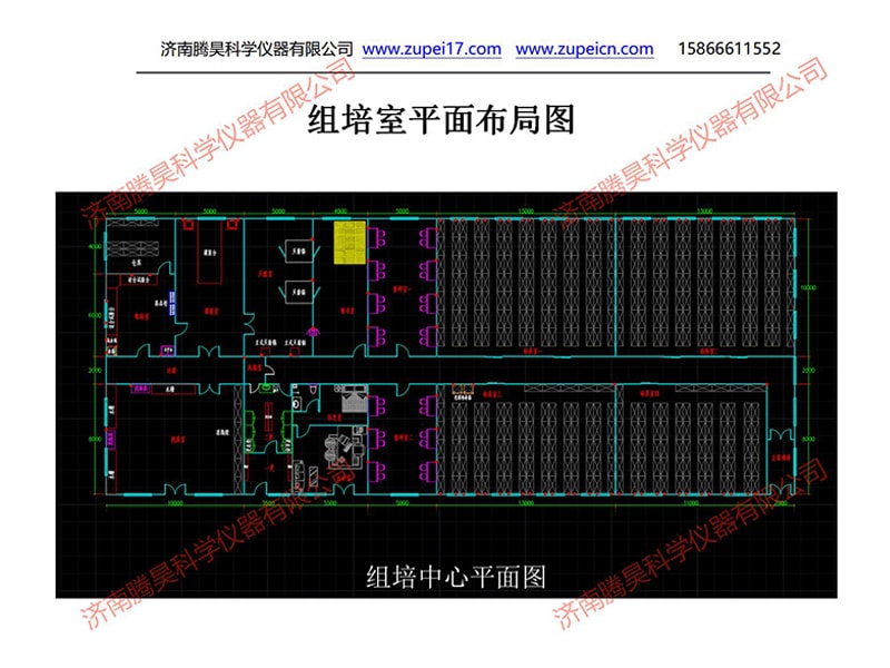 草莓免费视频  草莓免费视频室