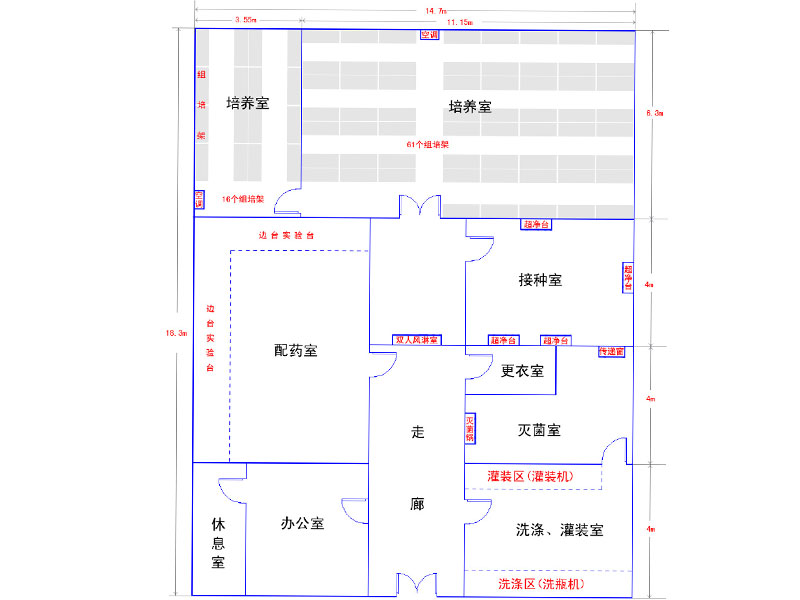 草莓免费视频