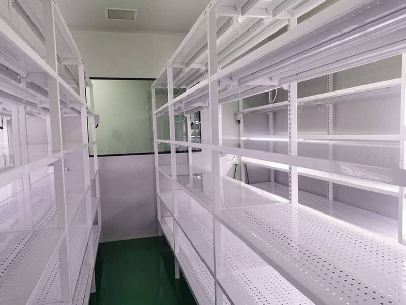 草莓免费视频  草莓免费视频架
