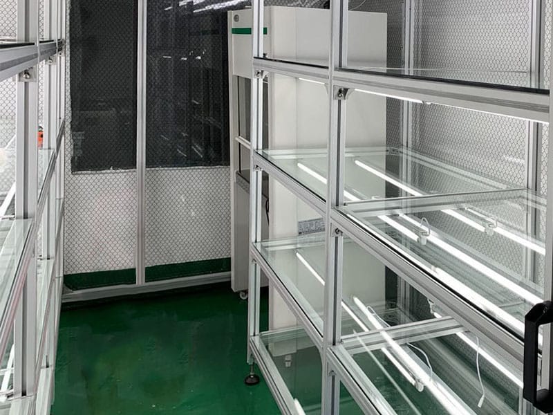 草莓免费视频  草莓免费视频架