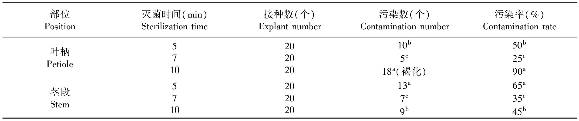 植物草莓免费视频设备