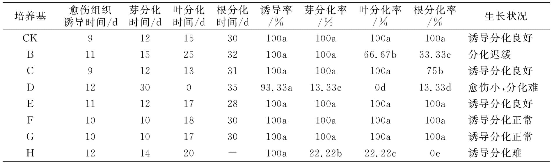 草莓免费视频设计图