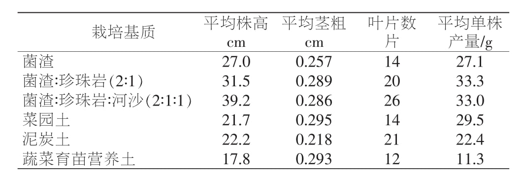 草莓免费视频室设计