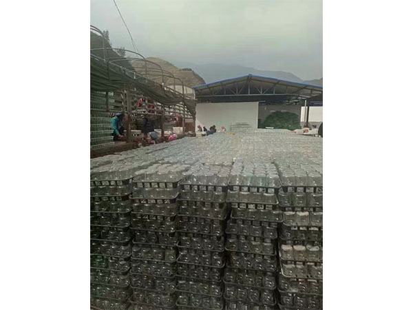 草莓免费视频室设计