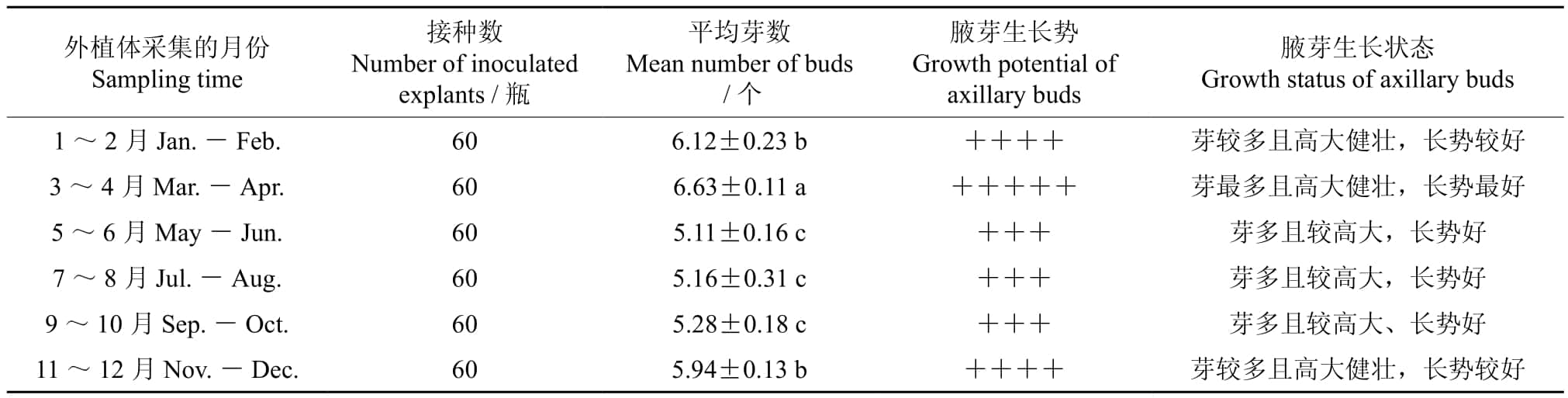 草莓免费视频室设计