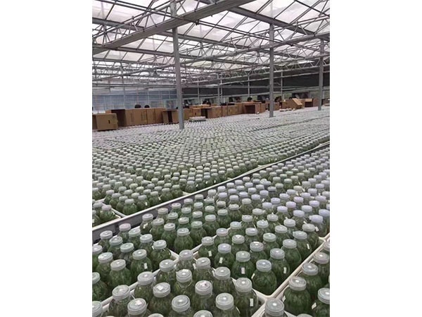草莓免费视频设备