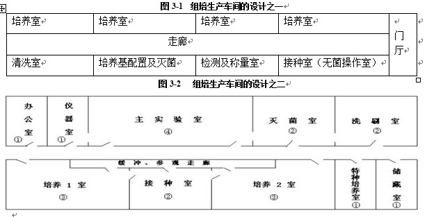 草莓免费视频室设计