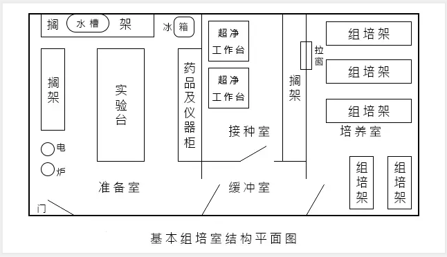 草莓免费视频  草莓免费视频实验室