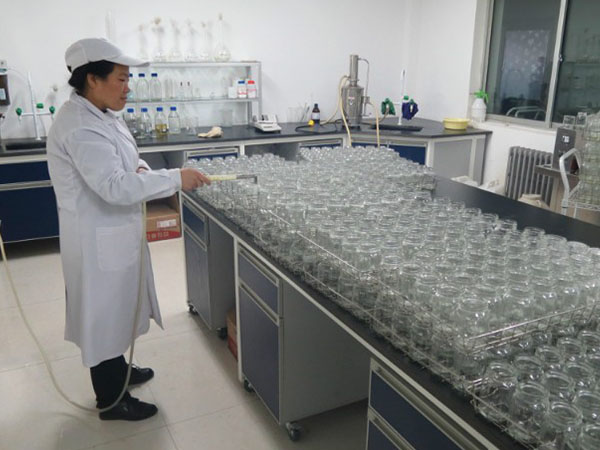 草莓免费视频室设计