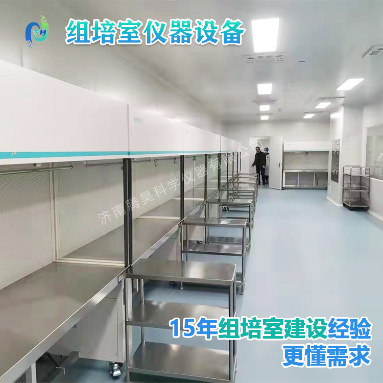 草莓免费视频仪器、草莓免费视频设备、草莓免费视频室设计、草莓免费视频室无菌净化